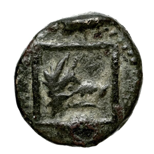 Lyttus Svoronos 1890 (1972) 51-54, 66-74, реверс, bnf-iris