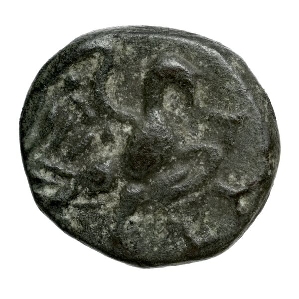 реверс Amphipolis AMNG III.2 50