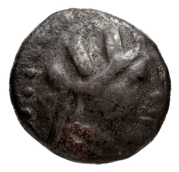 Cnidus Ashton 1999 Drachms, аверс, bnf-iris