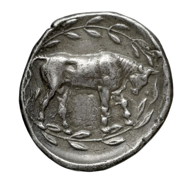 реверс Teisiphonos of Pherae Pherae Rogers 1932 527-530