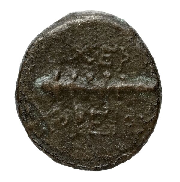 Apollonis Hochard 2020 2.1, реверс, bnf-iris