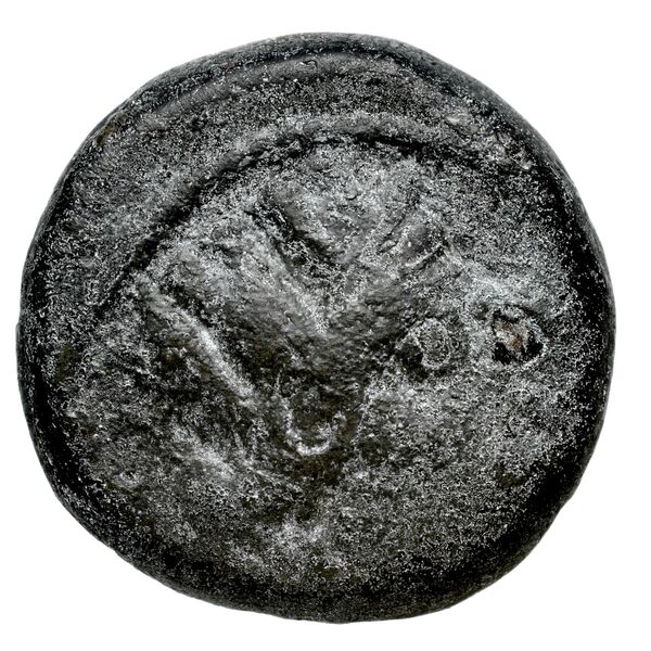 Corinth BMC Corinth 260, аверс, bnf-iris