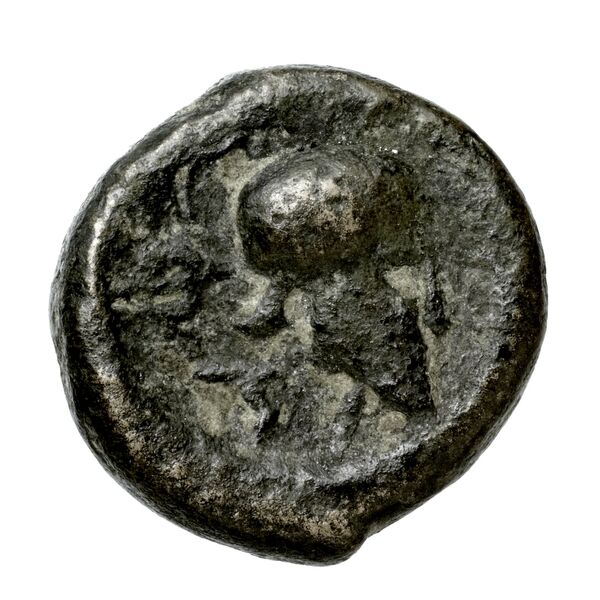 реверс Phaestus Carbone 2016 112-114