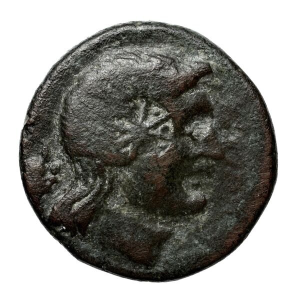 Amastris Callataÿ 2004 Group 2, аверс, bnf-iris