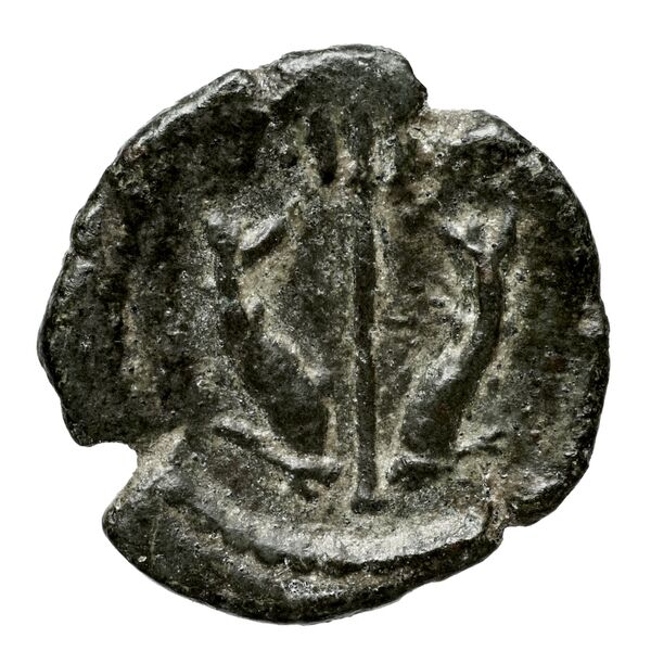 Amastris Callataÿ 2004 Group 2, реверс, bnf-iris