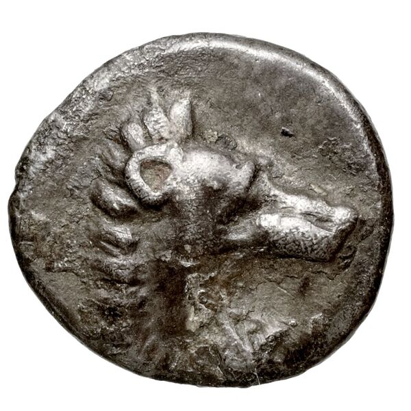 Amastris Waddington 1925 15, obverse, bnf-iris