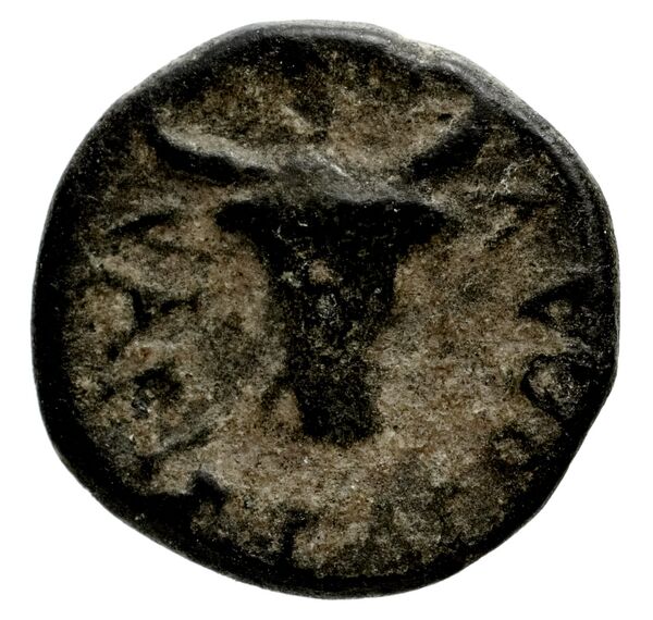 reverse Cnidus Nordbø 1972 Series 19