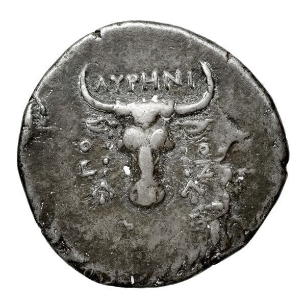 Amastris Waddington 1925 15, obverse, bnf-iris