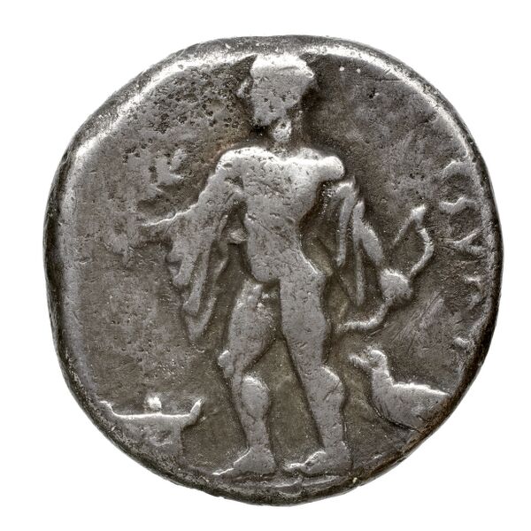 Corinth BMC Corinth 260, реверс, bnf-iris