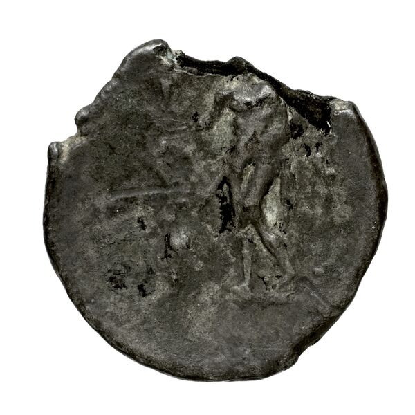 Polyrhenium Stefanakis 2013 113, reverse, bnf-iris