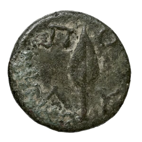 Corinth BMC Corinth 260, реверс, bnf-iris