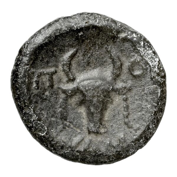 Corinth BMC Corinth 260, реверс, bnf-iris