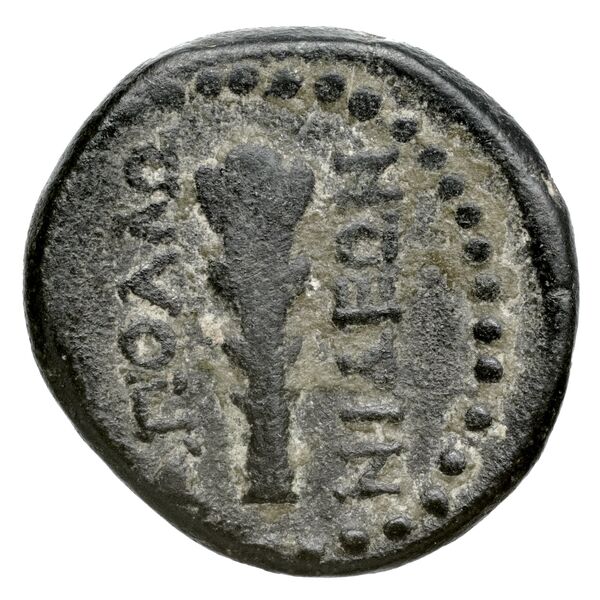 Apollonis Hochard 2020 2.2, реверс, bnf-iris