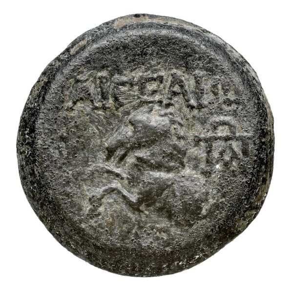reverse Ascalon BMC Ascalon 30-38