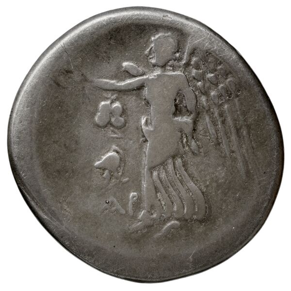 Corinth BMC Corinth 260, реверс, bnf-iris