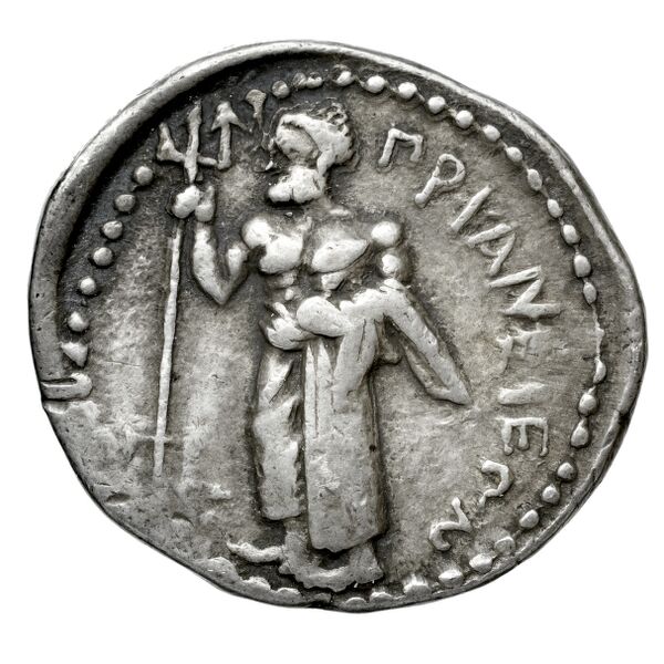 Teanum Sidicinum Historia Numorum Italy 455, реверс, bnf-iris