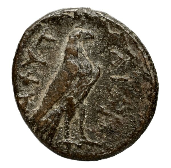 реверс Aphytis SNG ANS Macedonia 213