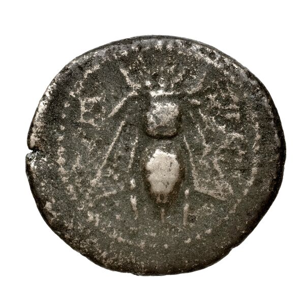 Teanum Sidicinum Historia Numorum Italy 453, аверс, bnf-iris