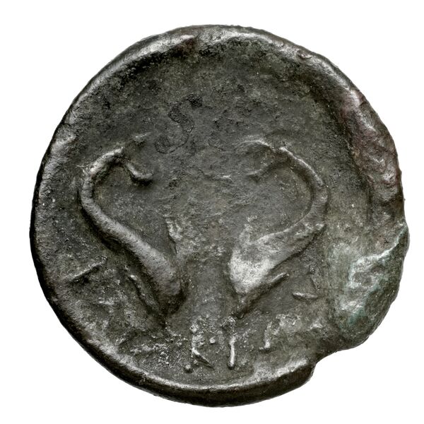 reverse Rhaucus Svoronos 1890 (1972) 19-20