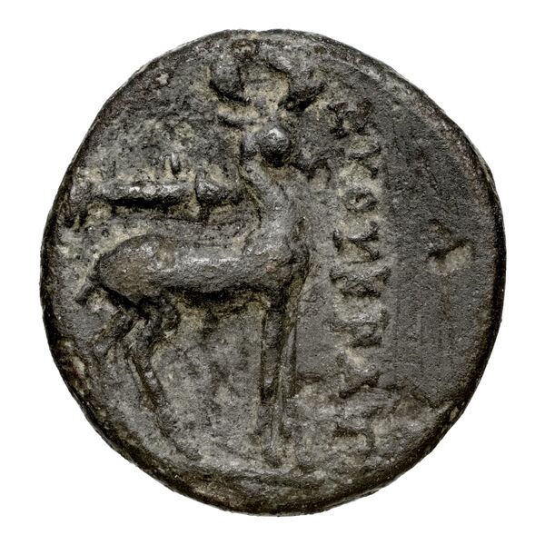 coin rev