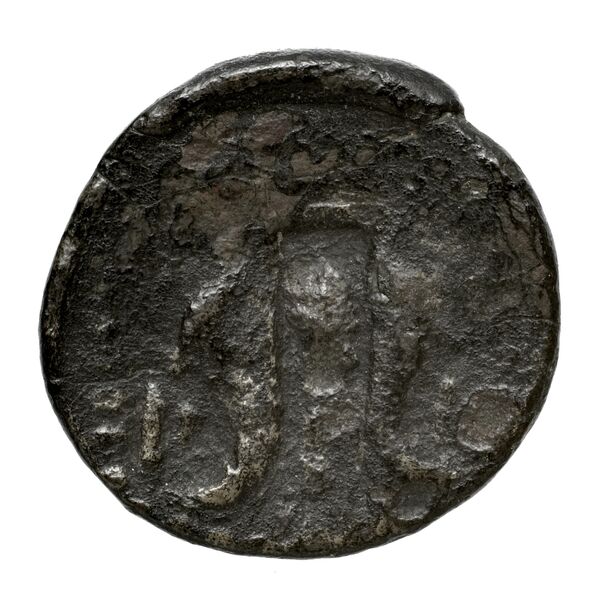 реверс Corinth BMC Corinth 272