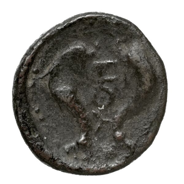 Halicarnassus BMC Halicarnassus 3-4, reverse, bnf-iris