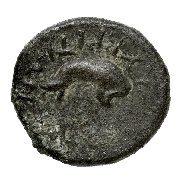 reverse Asculum Historia Numorum Italy 654