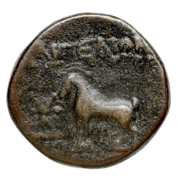 coin rev