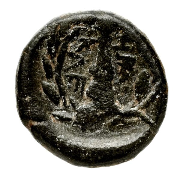 Caelia Historia Numorum Italy 767, реверс, bnf-iris