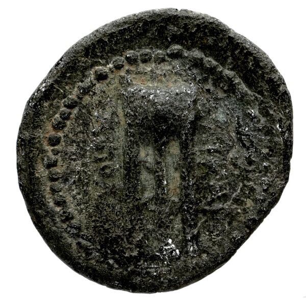 Thebes Babelon 1914 241, реверс, bnf-iris