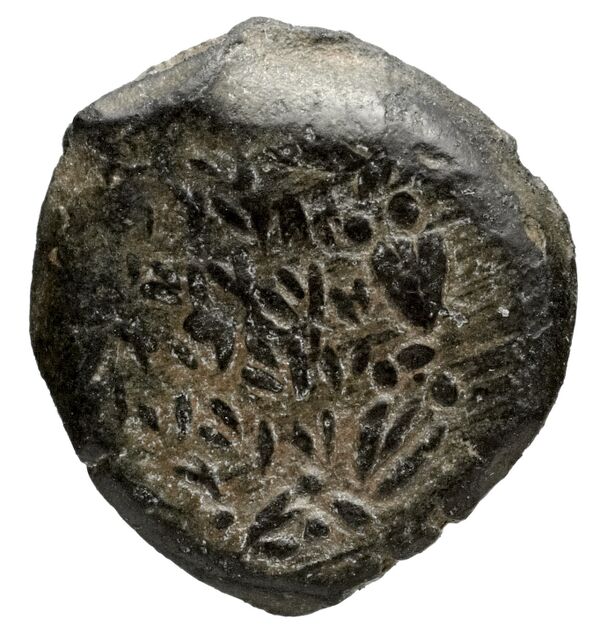 Alexander Jannaeus Jerusalem Hendin 2010 1144-1146, аверс, bnf-iris