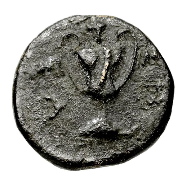 reverse Sesamus Waddington 1925 5-6