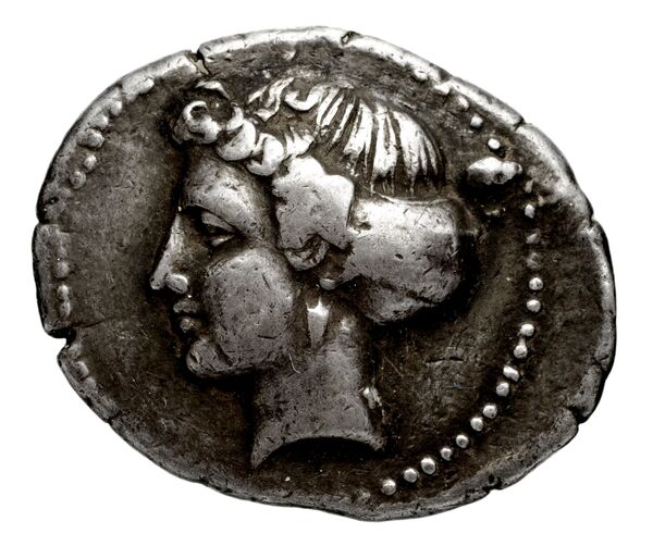 Salapia Historia Numorum Italy 691, аверс, bnf-iris