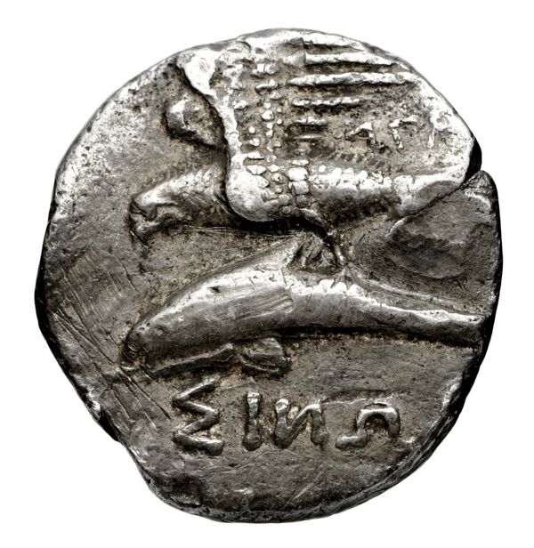 реверс Sinope Waddington 1925 24