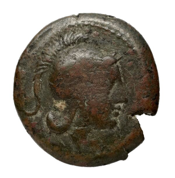 obverse Teate Historia Numorum Italy 701