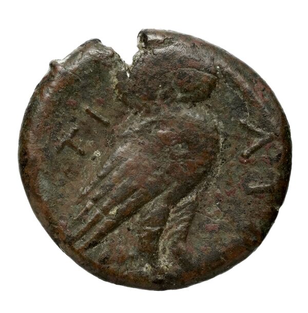 reverse Teate Historia Numorum Italy 701