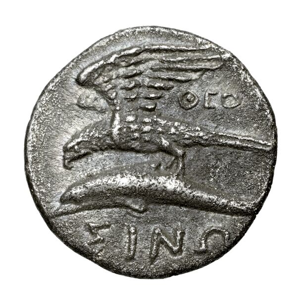 реверс Venusia Historia Numorum Italy 714
