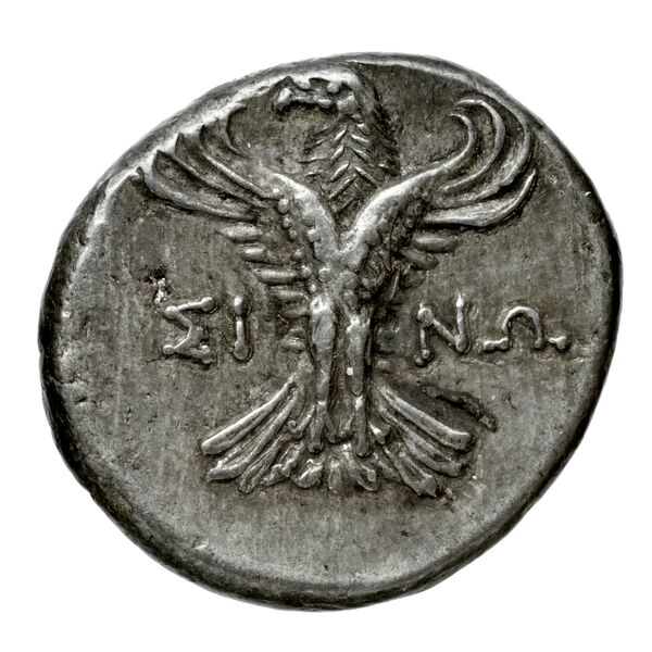 reverse Menaenum Puglisi 2009 177