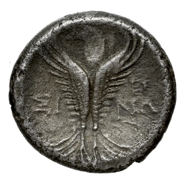 reverse Menaenum Puglisi 2009 178