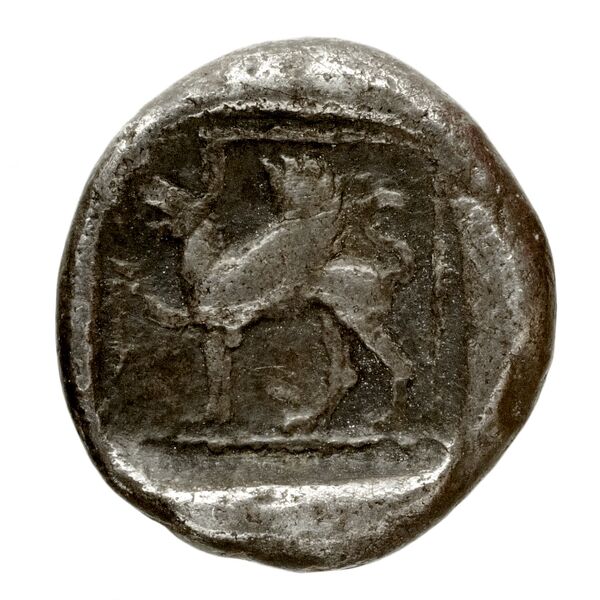 reverse Menaenum Puglisi 2009 181