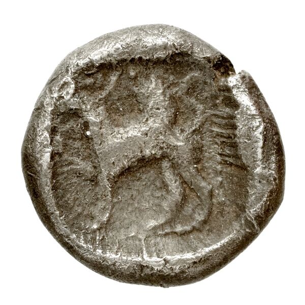 reverse Menaenum Puglisi 2009 182