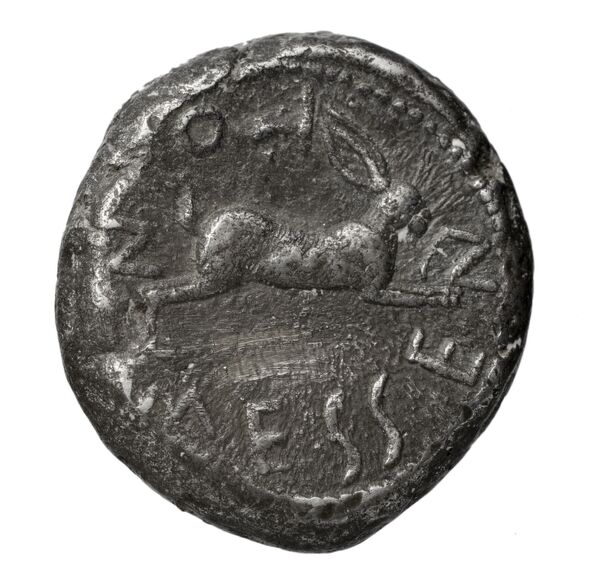 Messana Caltabiano 1993 27-226, реверс, bnf-iris