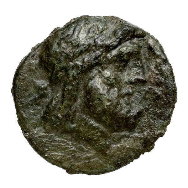 Mallus SNG Levante 1263, obverse, bnf-iris