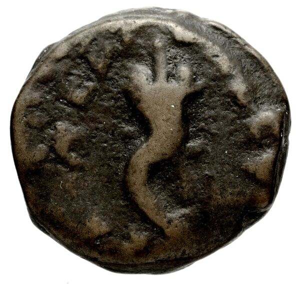 obverse Alexander I of Macedon Aegae, Macedon Raymond 1953 Group II tetradrachms
