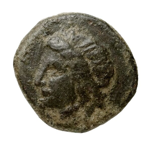 Brundisium Historia Numorum Italy 751, аверс, bnf-iris