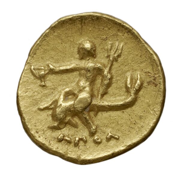 Idyma BMC Idyma 1-5, реверс, bnf-iris