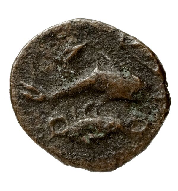 coin rev
