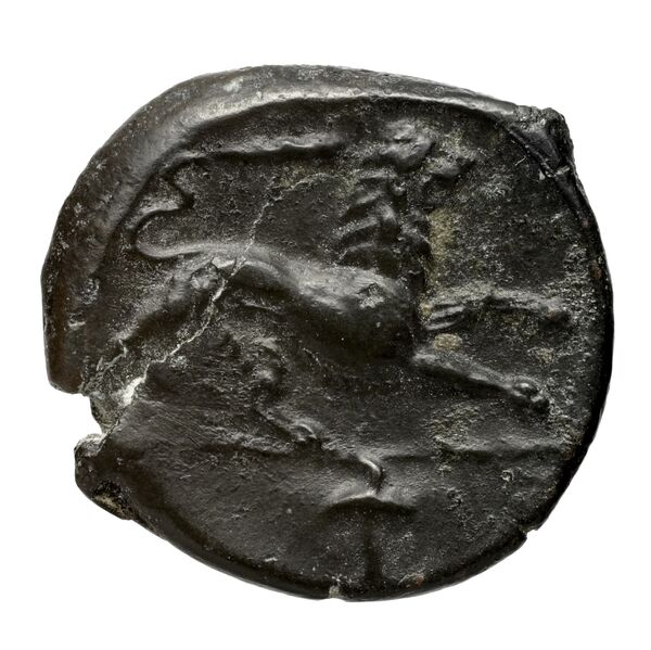 coin rev