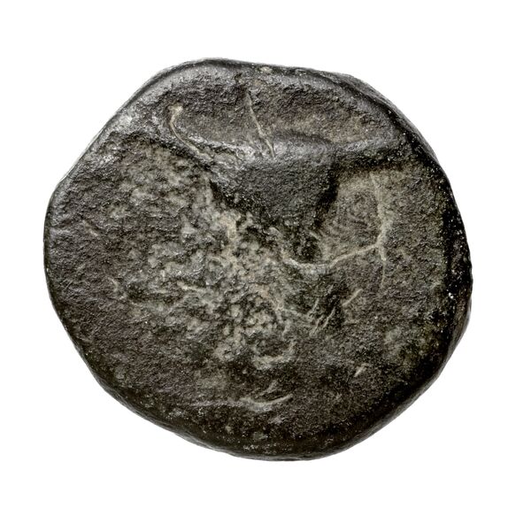 Aegiale Liampi 2004 4-8, аверс, bnf-iris