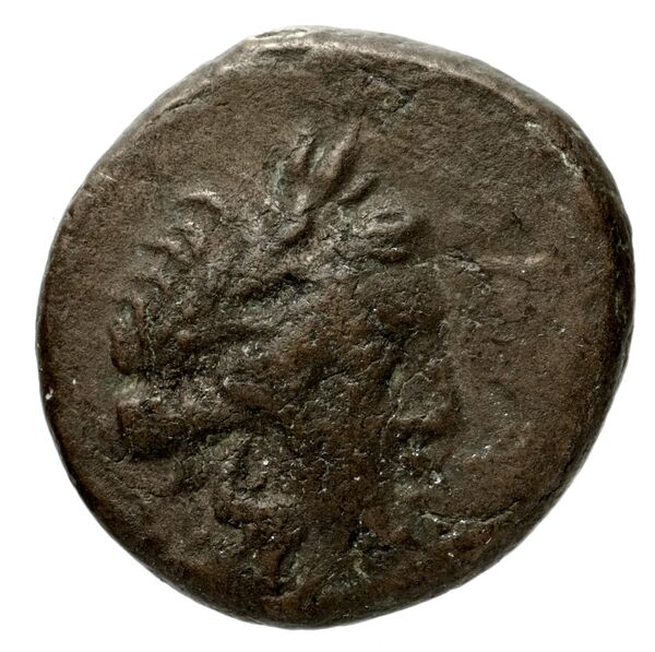 Neapolis AMNG III.2 2-7, аверс, bnf-iris